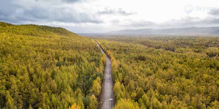 Công Viên Rừng Hắc Long Giang (Heilongjiang Forest Park)