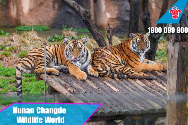 Thế giới động vật hoang dã Hồ Nam (Hunan Changde Wildlife World)