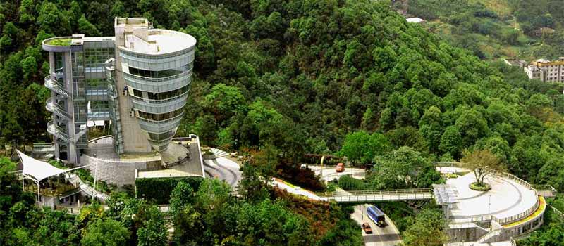 Nanshan Tree Viewing Platform