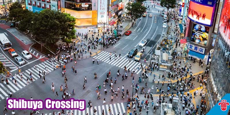 Giao điểm Shibuya Crossing ở Tokyo