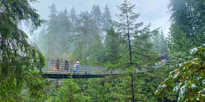 Cầu Treo Capilano (Capilano Suspension Bridge Park)