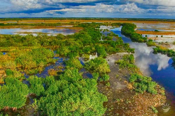 Vườn quốc gia Everglades