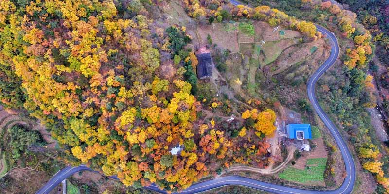 Vé máy bay đi Guangyuan