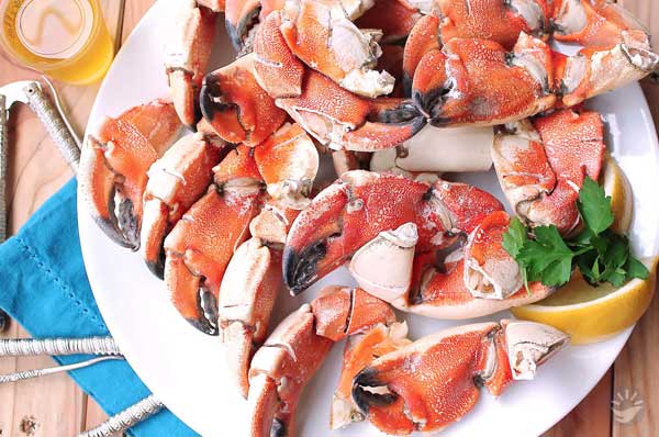 Cua đá (Stone Crab)