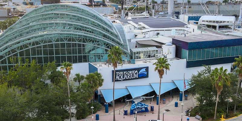 The Florida Aquarium