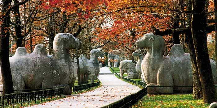 Minh Hiếu Lăng (Xiaoling Mausoleum of Ming Dynasty)