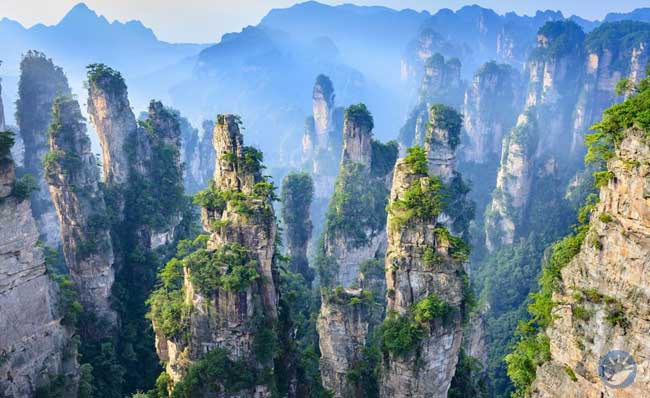 Vườn quốc gia rừng Trương Gia Giới (Zhangjiajie National Forest Park)